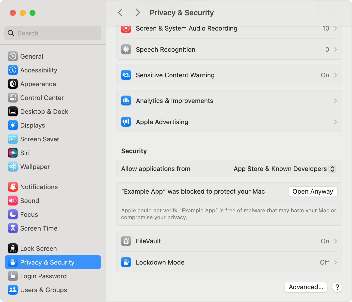macOS Privacy & Security full panel with Open Anyway